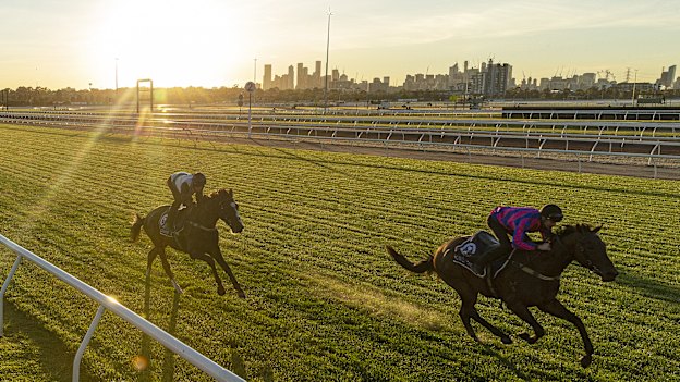 Constantinople, left, and Huntly Castle at trackwork, Flemington, October 29.