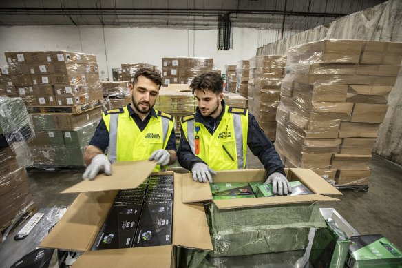 Australian Border Force officers unpacking a container load consignment of vapes at the Sydney Container Examination Facility. 