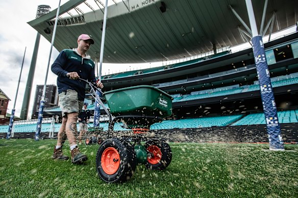 SCG groundsmen Cameron Billett seeding.