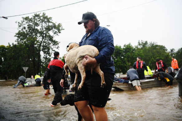 Severe flooding hits Lismore in northern NSW in the worst flood ever recorded.