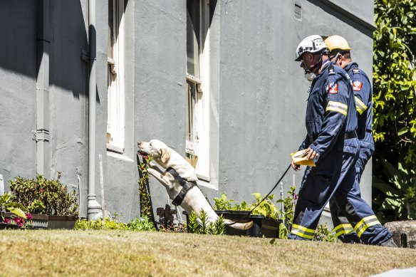 Fire investigators and an accelerant-detecting dog at the Bondi home on Wednesday.