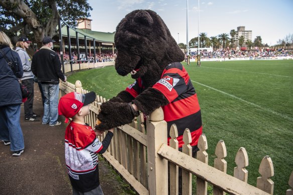 It’s not all over for the Bears name returning to big time rugby league.