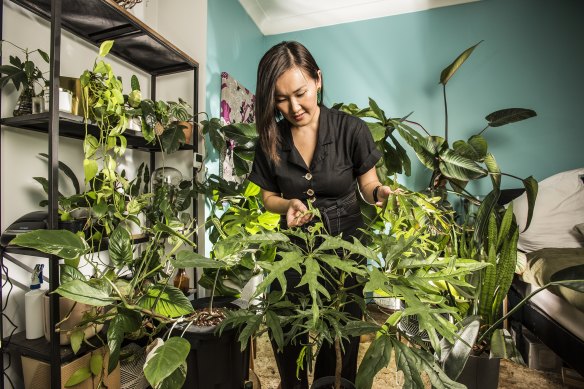 Horticulturist Tammy Huynh  recommends sticking a finger - or a moisture probe - 2.5 cm into the top of the soil before watering. “If it feels moist, and you have dirt sticking to your finger, leave watering a few days.”