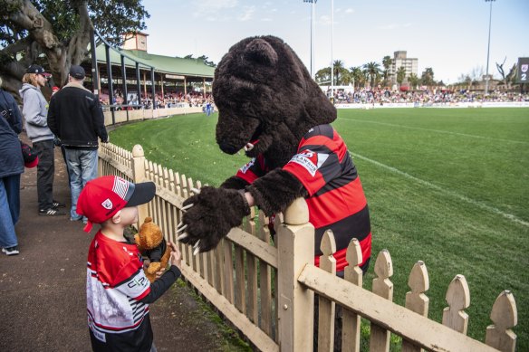 From one bear to another: Hopes are high North Sydney’s NRL exile is about to end.