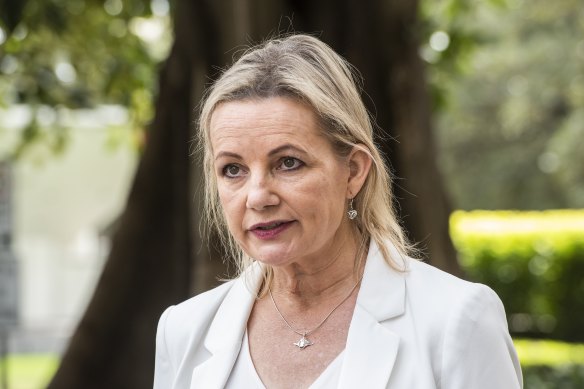 Sussan Ley has come out swinging against Joe Biden’s methane reduction plan. 