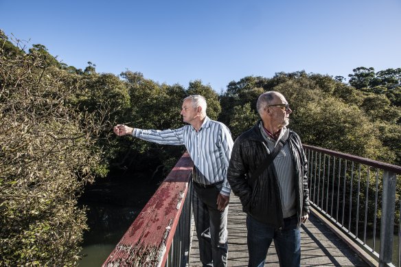 Councillor Peter Mahoney and Oatley resident Kim Wagstaff are concerned the suburb’s mangroves have suddenly started dying. 