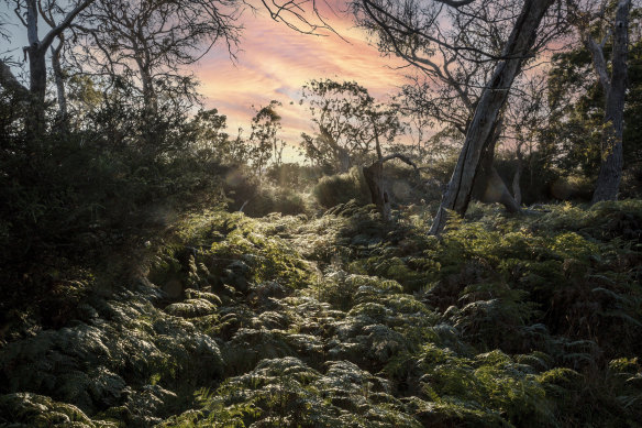 The Briars was selected as the venue for the Warner Bros. event following a nationwide search.