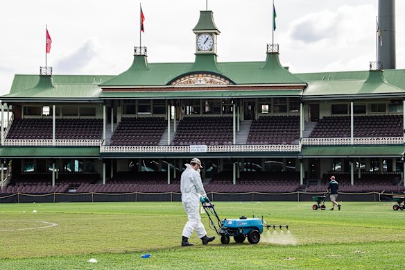 SCG assistant curator Ayden Klopf spraying wicket square.