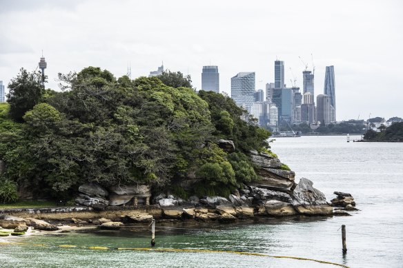 The beautiful views from the Hermitage Walk in Vaucluse.