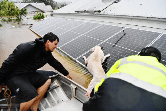 Record flooding resulted in some unusual rescues. 