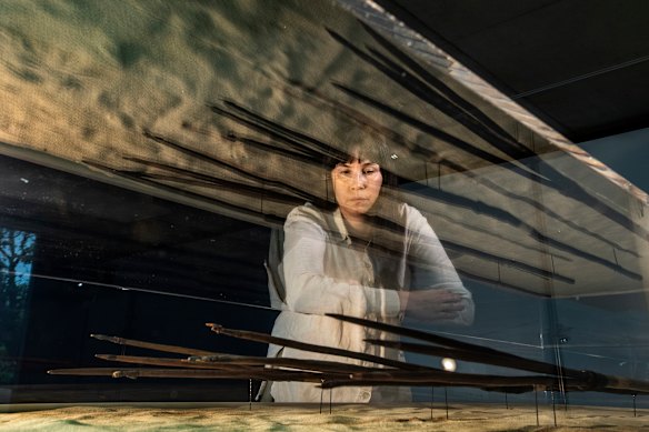 Curator Marika Duczynski and the four spears taken by Cook in 1770 have gone on public display at the Chau Chak Wing Museum. 