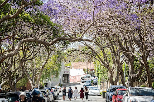Visitors and locals flock to the street on Sydney’s lower north shore. 