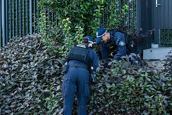 The shooting is believed to be linked to organised crime.