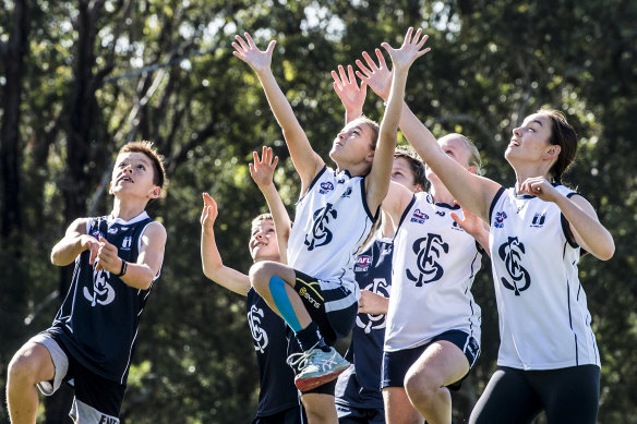 St Ives junior AFL players during their pre-season in February just before the coronavirus bans kicked in.