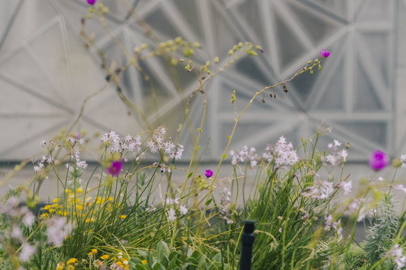 The garden has its own web page and a university research partner.
