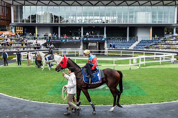 The next time Ka Ying Rising runs at Randwick with there be 50,000 people watching.