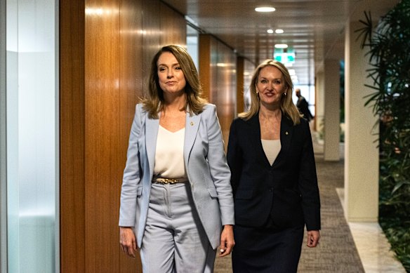 NSW Liberal Party leader Kellie Sloane with deputy Natalie Ward.