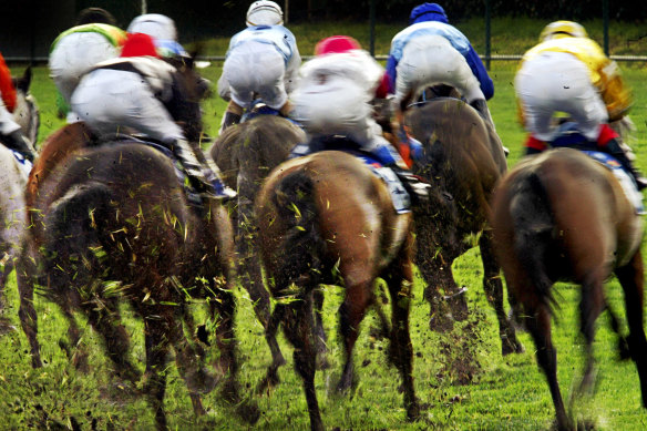 There are plenty of options for punters to pick from on a seven-race card at Newcastle.