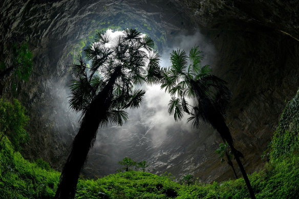 Another sinkhole forest in China, where they are known as “tiankeng” or “heavenly pits”. 