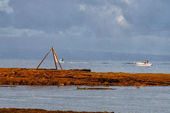 The intertidal rock area at Ricketts Point, which is governed by Parks Victoria.