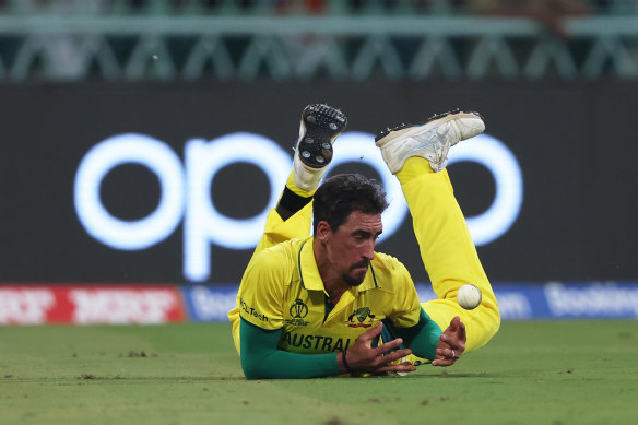 Starc drops a chance against South Africa.