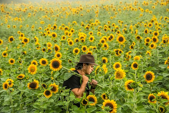 The SMH year in pictures, 2024