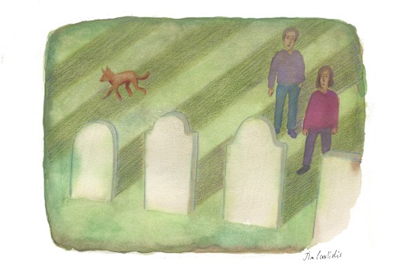 Perspective