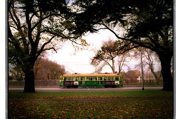 No.8 tram on Domain Road.