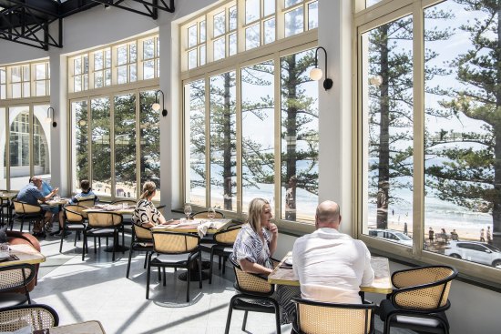 The dining room has expansive views of the Pacific Ocean and Norfolk pines.