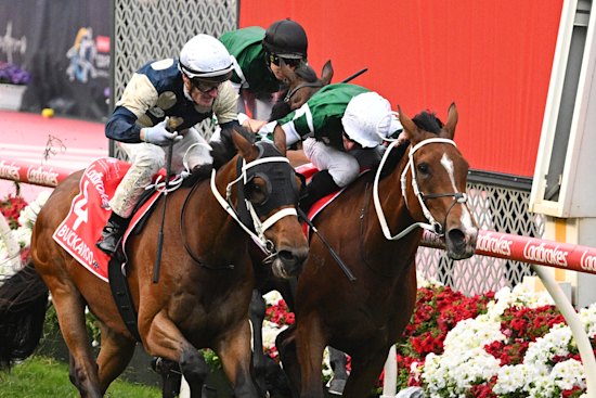 Melbourne Cup hopeful Buckaroo, left, runs a narrow second in the Cox Plate.