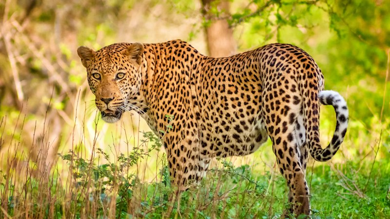 Why I was wrong about one of Africa’s biggest safari parks