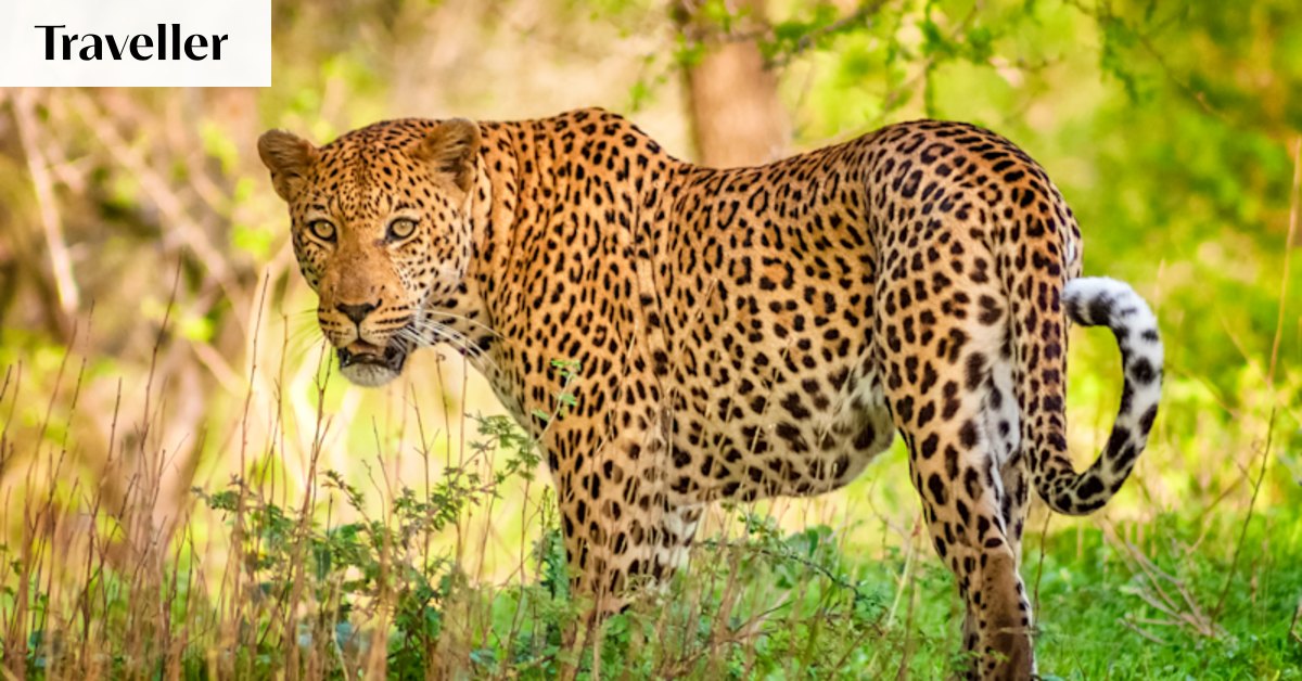 Why I was wrong about one of Africa’s biggest safari parks