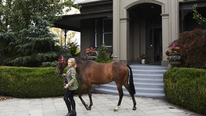 A stately home in Melbourne’s north-east gets an impressive upgrade