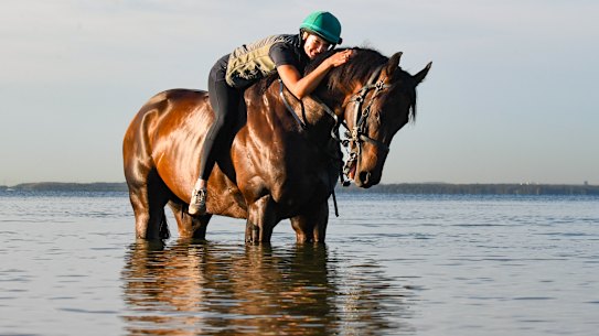 Jess Bott leans down the neck of Hawaii Five Oh and give him a pat in Botany Bay on Monday.