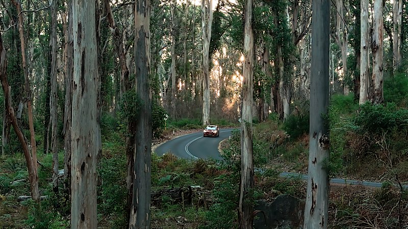 ‘It frustrates the hell out of me’: Cheap, uninsured drivers target WA wine region tourists