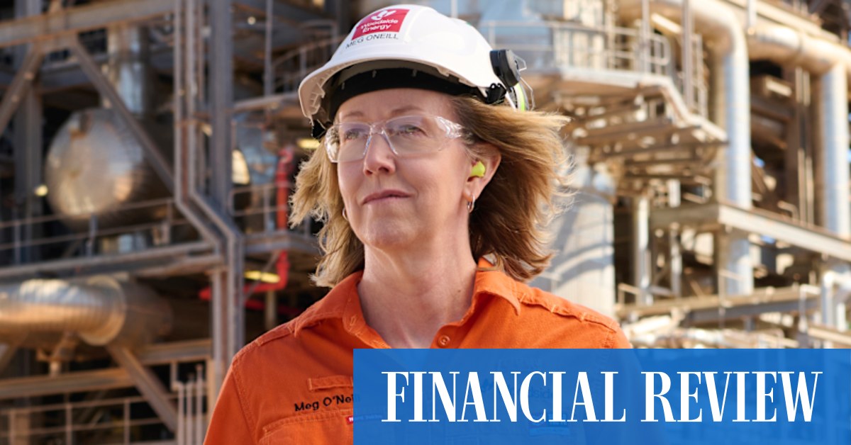 WDS ASX: Woodside takes $214m hit after ditching major US hydrogen project