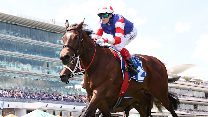 Race-by-race tips and previews for Randwick on Saturday