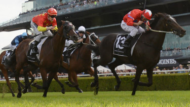 Pipped at the post: Bondi runs second to Seabrook in the Champagne Stakes earlier in the year.