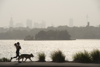 Sydney's smoke pollution has been running at record levels, the government said.