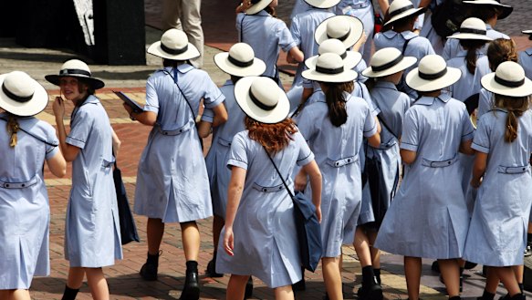 NAPLAN should be replaced with a broader test, an independent review says.