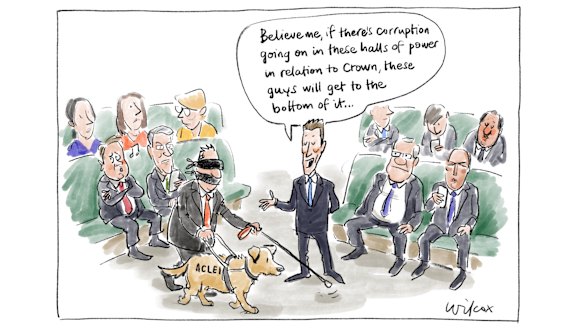 Illustration: Cathy Wilcox