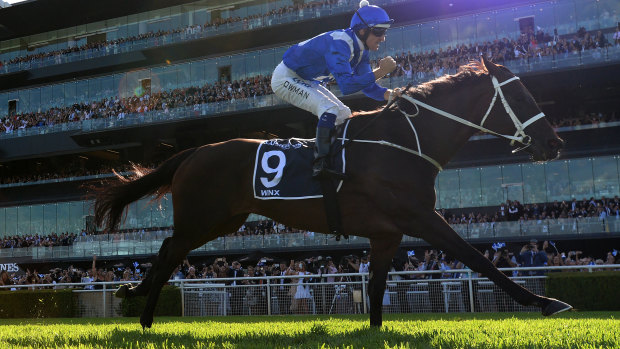 She's back: Supermare Winx is due to return in a barrier trial on Monday. 