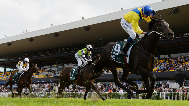 Unchallenged: Hiyaam ridden by Michael Dee wins the Vinery Stud Stakes at Rosehill.