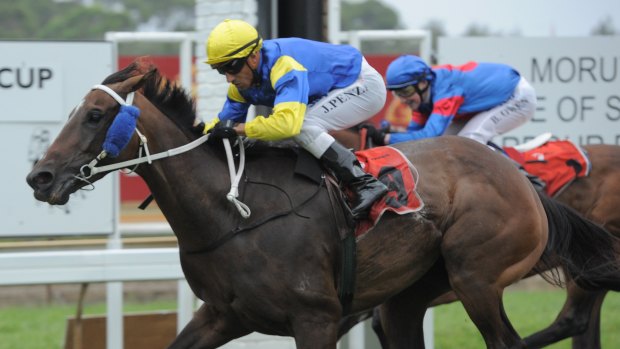 There are seven races scheduled at Moruya on Sunday.