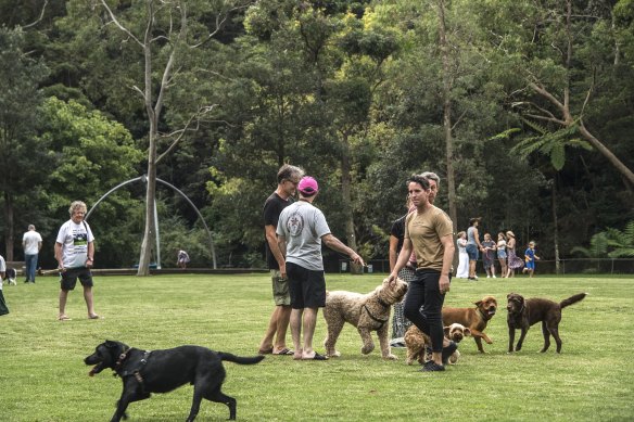 Residents in Greenwich worry about the environmental impact from increased heat and plastic and rubber debris if the Lane Cove Council proceeds with plans to turn the Bob Campbell Oval into a synthetic playing field. 