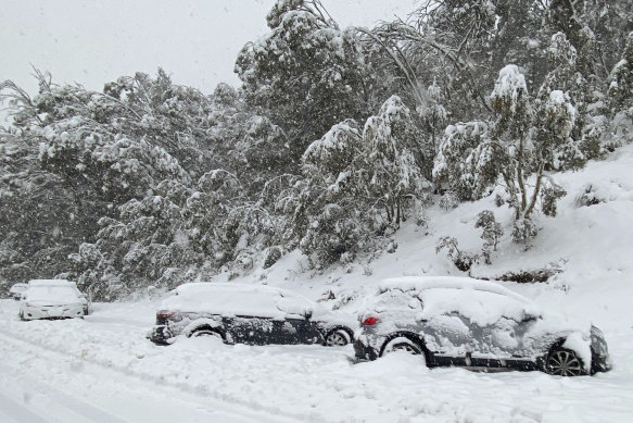 Cars line the side of the road of Alpine Way between Jindabyne and Thredbo on Monday after heavy snow hit the Snowy Mountains region.