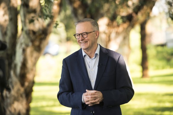 Out of isolation: Albanese enjoying the sun in Marrickville on Friday.