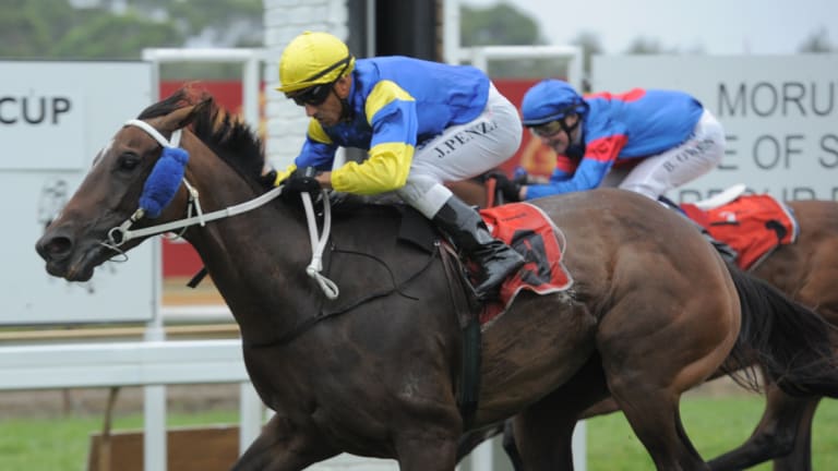 The $50,000 Moruya Cup headlines Monday's eight-race card.