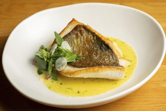 Beautifully crisped John dory in a pool of master stock with sea herbs and pickled turnip.
