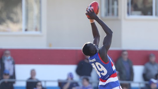 Leek Alleer from the Bulldogs marks the ball during the Round 18 SANFL match between Central Districts and Adelaide at X Convenience oval in Adelaide, Saturday, August 21, 2021. (SANFL Image/David Mariuz)  The AGE SPORT  Leek Alleer, a mature-age, Sudanese-born AFL prospect.  Leek playing in the Central District’s round 18 game against Adelaide. Please credit: SANFL